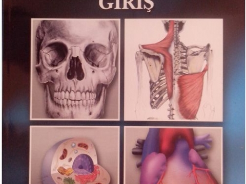 İnsan Anatomisi ve Fizyolojisine Giriş