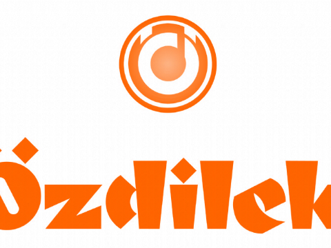 Reyon Sorumluları / Özdilek Holding